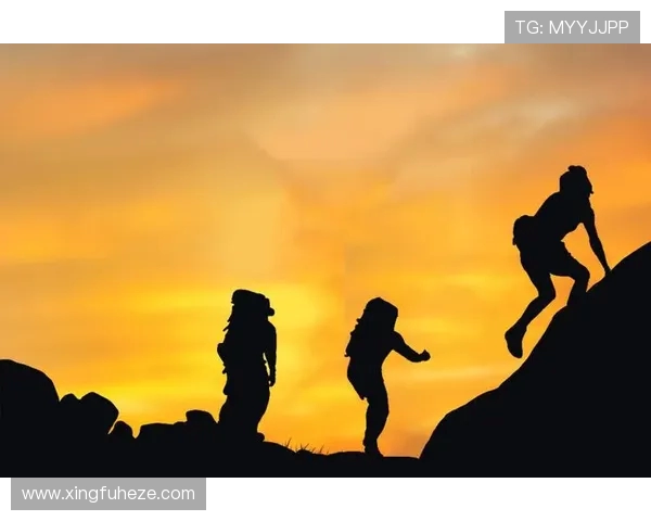 上海飞盘队运营分析：成功经验与面临挑战的深度探讨